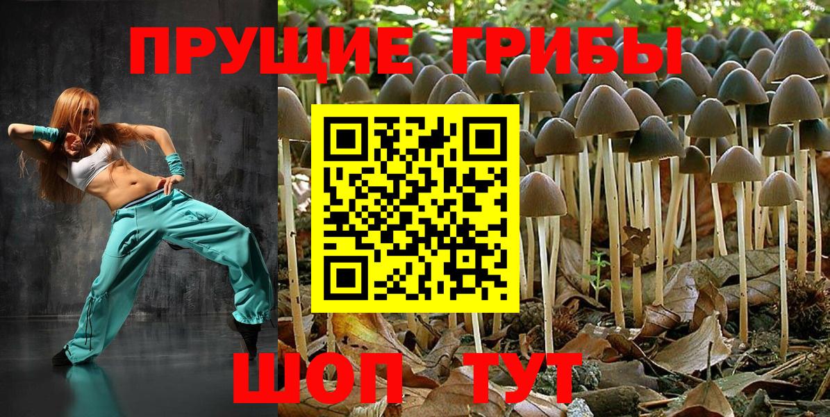 купить   Вход с VPN  Заинск  Псилоцибиновые грибы Magic Shrooms 